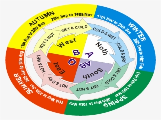 Colours Show Temperaments Of Blood Groups And Changing - Circle