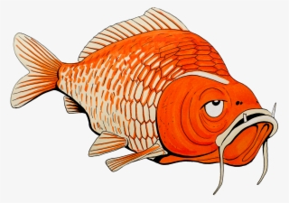 Drawing Goldfish Pretty - Goldfish