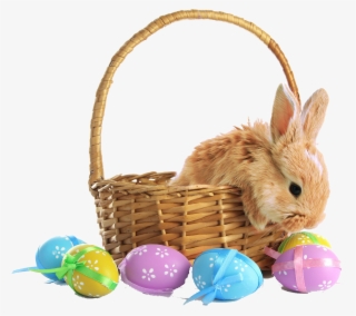 Rabbit In Easter Basket