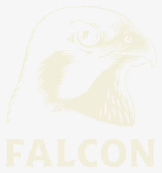 1 Falcon Logo - Hawk