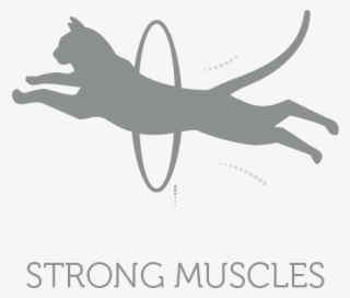 Strong Muscles Of Active Cats Maintained By Providing - Silhouette