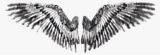 #wing #wings #angel #devil - Golden Eagle