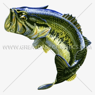 Bass Fish Transparent Background - Jumping Largemouth Bass Bass Fish
