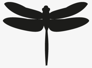 Insects Set [silhouette] Png - Dragonfly