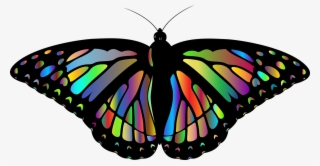 Monarch Butterfly Animal Insect Png Image - Beautiful Colorful Butterflies
