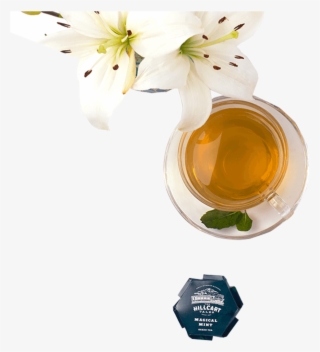 Catalog/green Tea/magical Mint T - Glass Bottle
