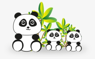 Panda Bear - Algorithm Panda 2018