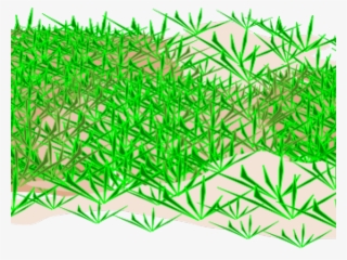 Ground Clipart Grass - Grass