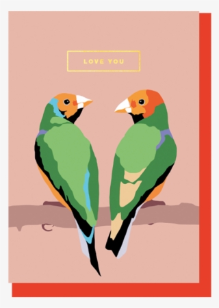 Lovebird