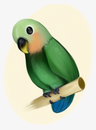 Birb Drawing Love Bird Huge Freebie Download For Powerpoint - Lovebird