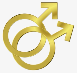 Gay Symbol Couple Marriage Lgbt Png Image