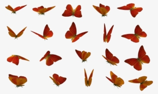 Butterfly, Stock Photography, Rendering, Leaf, Moths - 10 Mariposas En Diferentes Posiciones