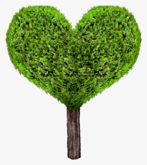 Green Heart Tree Png - Heart Tree Png