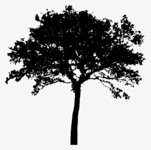 This Free Icons Png Design Of Tree Silhouette 4