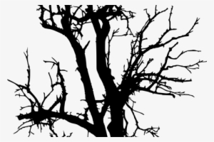 Clip Library Tree Silhouette Drawing K Pictures Full - Portable Network Graphics