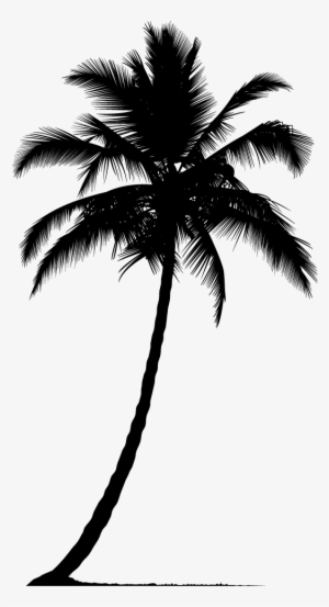 Arecaceae Silhouette Tree - Palm Tree Silhouette Png