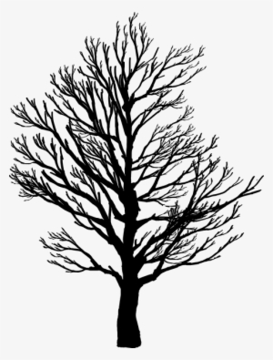Pine Images - Tree Silhouette Art