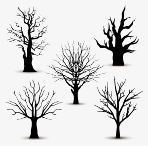 Tree Silhouette Euclidean Vector - Tatuaje Arbol Sin Hojas
