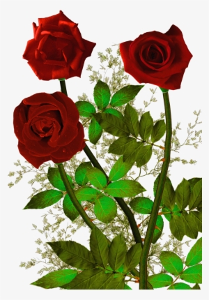 Rosas Rojas Png - Rose And Heart