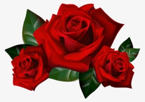 Red Roses Png