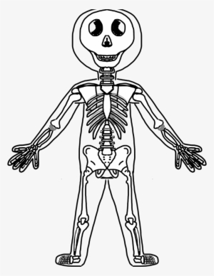 Clip Art Free Body Clipart Black And White - Bones In A Body Clipart
