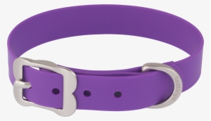 Dog Collar Png - Red Dingo Vivid Pvc Dog Collar, X-small, Purple