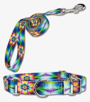 collars & harnesses - country brook design tie dye flowers martingale dog