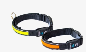 tractive led dog collar - safety tractive led collar, yellow