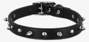 Black Leather Spike Dog Collar - Bond & Co. Black Leather Spike Dog Collar, Large