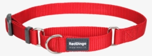 Classic Martingale Dog Collar - Red Dingo Mc-zz-re-sm Martingale Dog Collar Classic