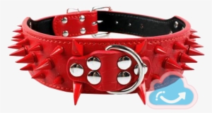 Dog Collar Png Image Transparent