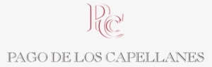 1785d9 Sub Etiquetas B&g-03 - Pago De Los Capellanes Logo
