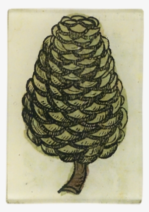Medieval Flora Pointy Pine Cone - Sketch
