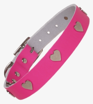Miscellaneous - Neon Pink Collar For Dogs