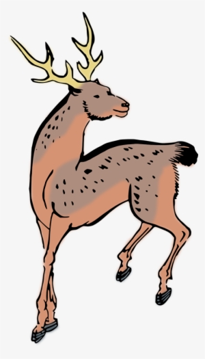 Animal,deer,woodcut,free Vector Graphics - Custom Deer Shower Curtain