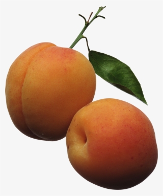 Free Png Peaches Png Images Transparent - Apricots Clipart