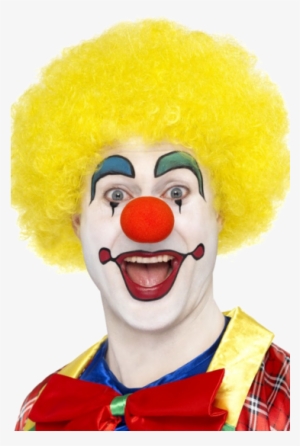 Clown Wig Png Wwwimgkidcom The Image Kid Has It - Clowns With Yellow Hair