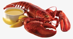 Lobster Png - Cooked Lobster Png