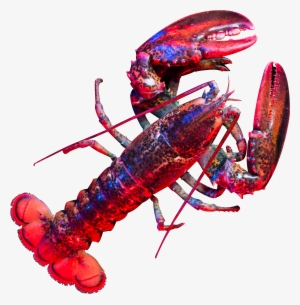 Lobsterred-cutout