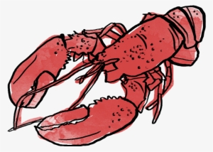 Here's A Red Lobster Illustration - Karachi