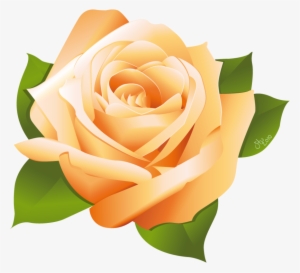Rose Vector By Stoobainbridge On Clipart Library - Yellow Rose Vector Png