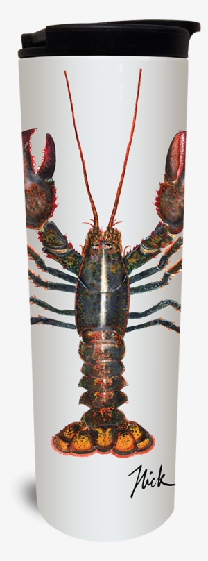 Northern Lobster Tumbler - Watermark