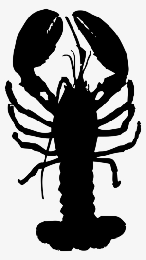Lobster Drawing Shellfish - Clip Art Lobster