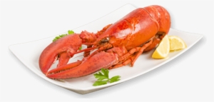 Cooked Lobster - Cooked Lobster Png