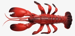 Olhzn Space Lobster - Lobster
