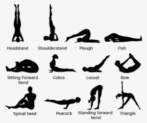 Clip Library Stock How To Learn Hatha For Free Quora - 12 Basic Yoga Asanas