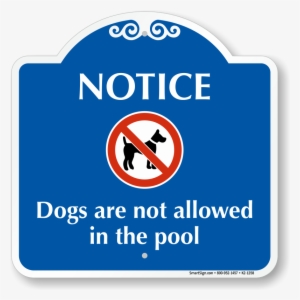 No Dogs Allowed In The Pool