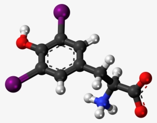 Diiodotyrosine Zwitterion 3d Ball - Hormone Testosterone Png