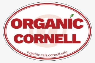 Cornell Logo Png Transparent Background - Circle