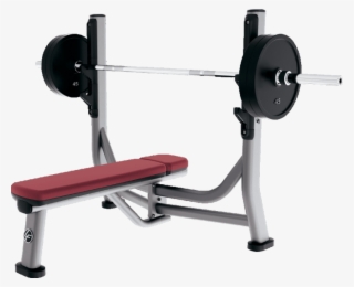 Olympic Flat Bench - Flat Bench Life Fitness
